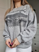 Grey sweatshirt with a picture